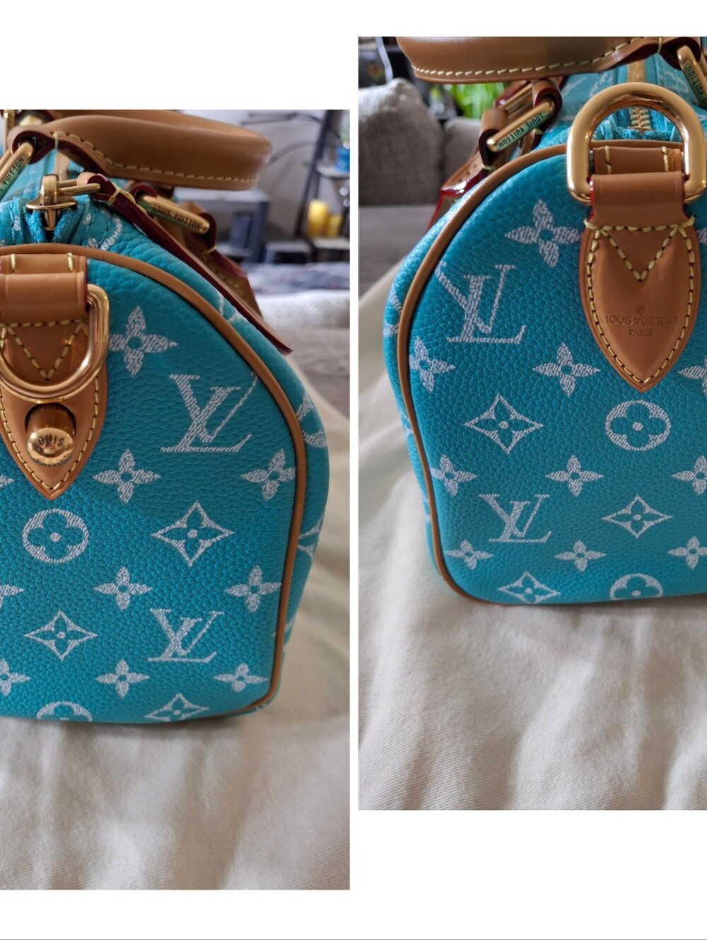 Turquoise Monogram Speedy 25 Luxury Handbag - Picture 5 of 15